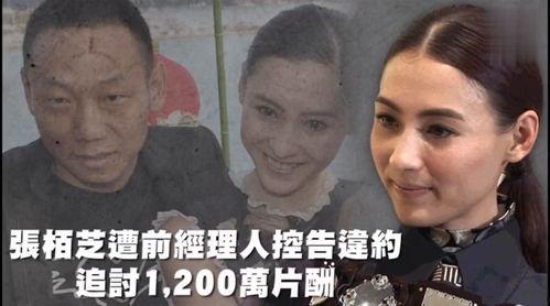 一线吃瓜娱乐,揭秘娱乐圈幕后真相